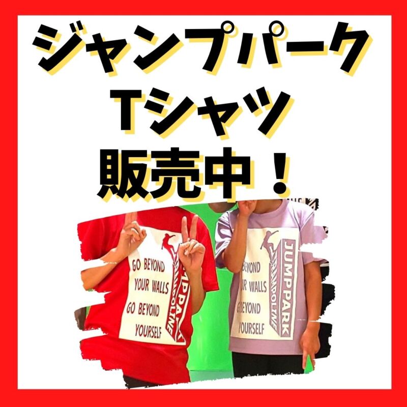 Read more about the article Tシャツの季節が来ました！