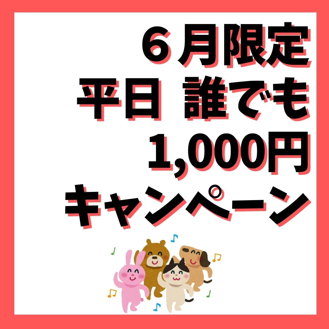 You are currently viewing 平日1000円キャンペーン